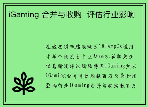 iGaming 合并与收购  评估行业影响