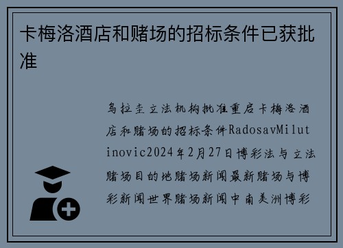 卡梅洛酒店和赌场的招标条件已获批准