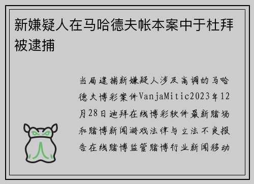 新嫌疑人在马哈德夫帐本案中于杜拜被逮捕